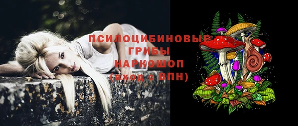 хмурый Алексеевка