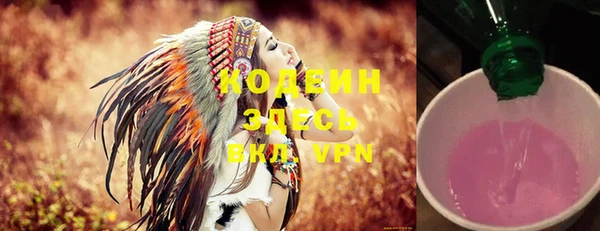 хмурый Алексеевка
