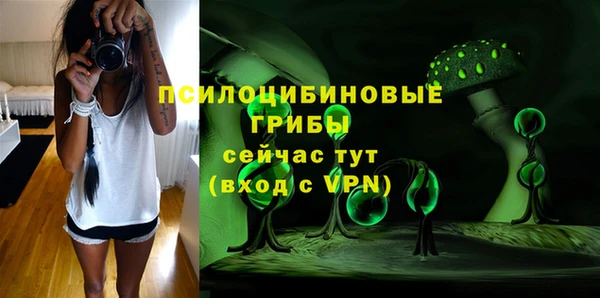 хмурый Алексеевка